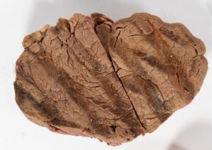 Lightly cooked beef